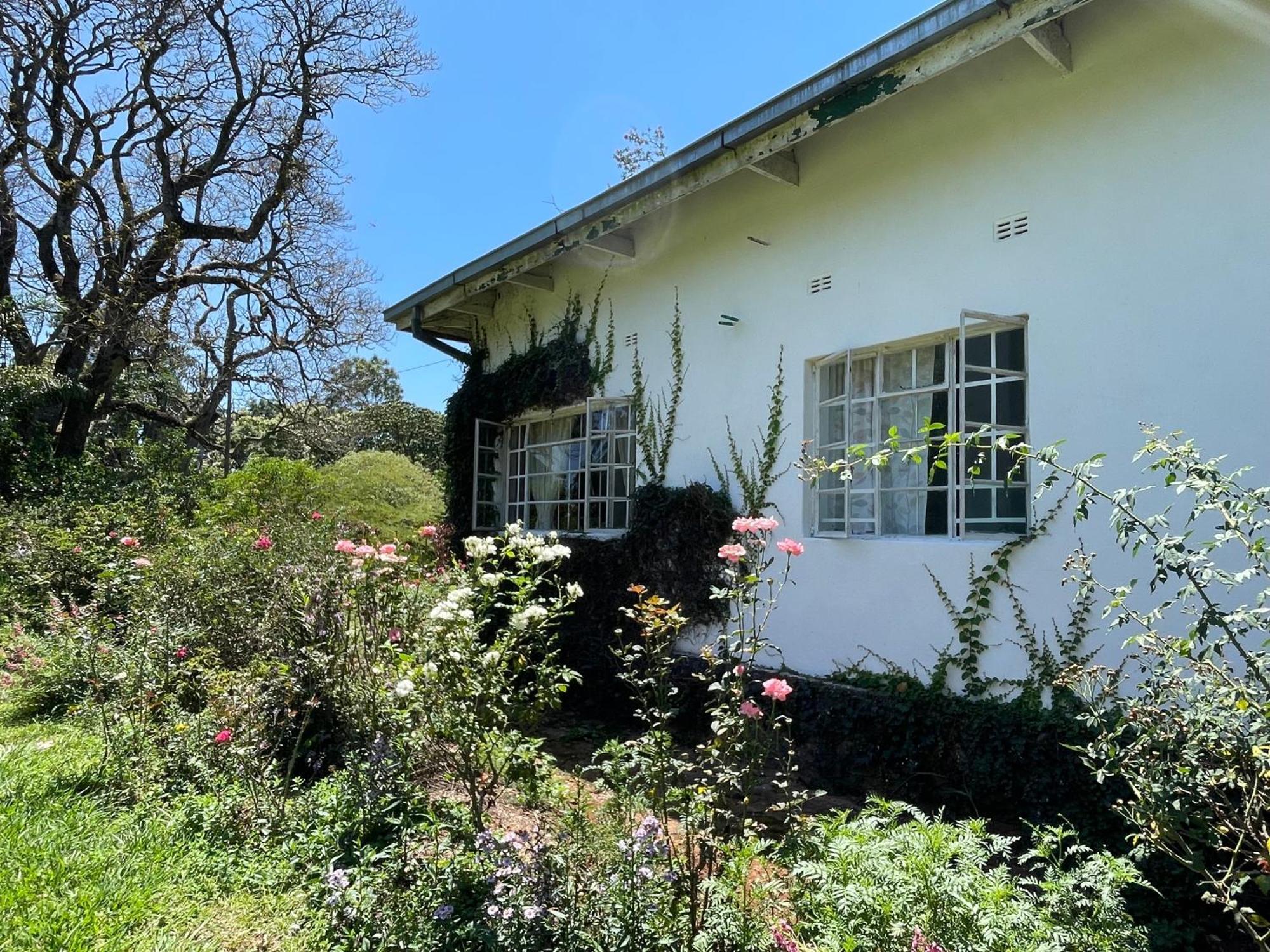 Huntingdon House And Chawani Bungalow Thyolo Eksteriør billede